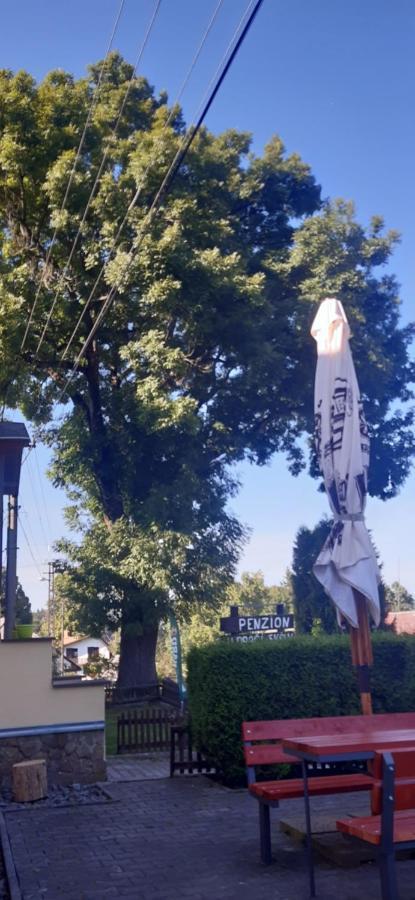 Penzion U Draci Skaly Hotel Svojse Luaran gambar