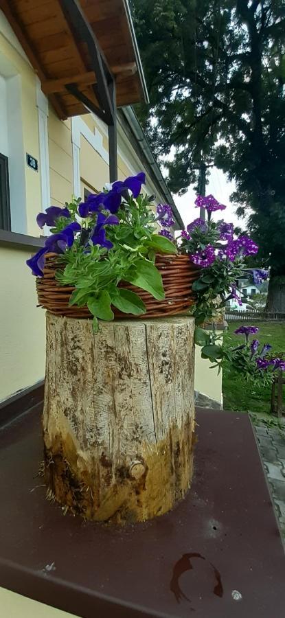 Penzion U Draci Skaly Hotel Svojse Luaran gambar